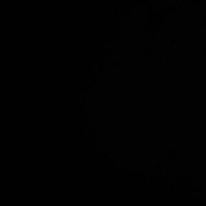 Classic Black Garment